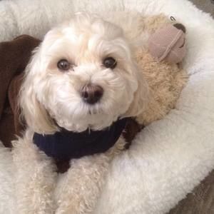 Meet your Posher, Nadine